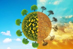 Environment & Climate Change