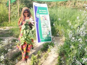 Health & Nutrition